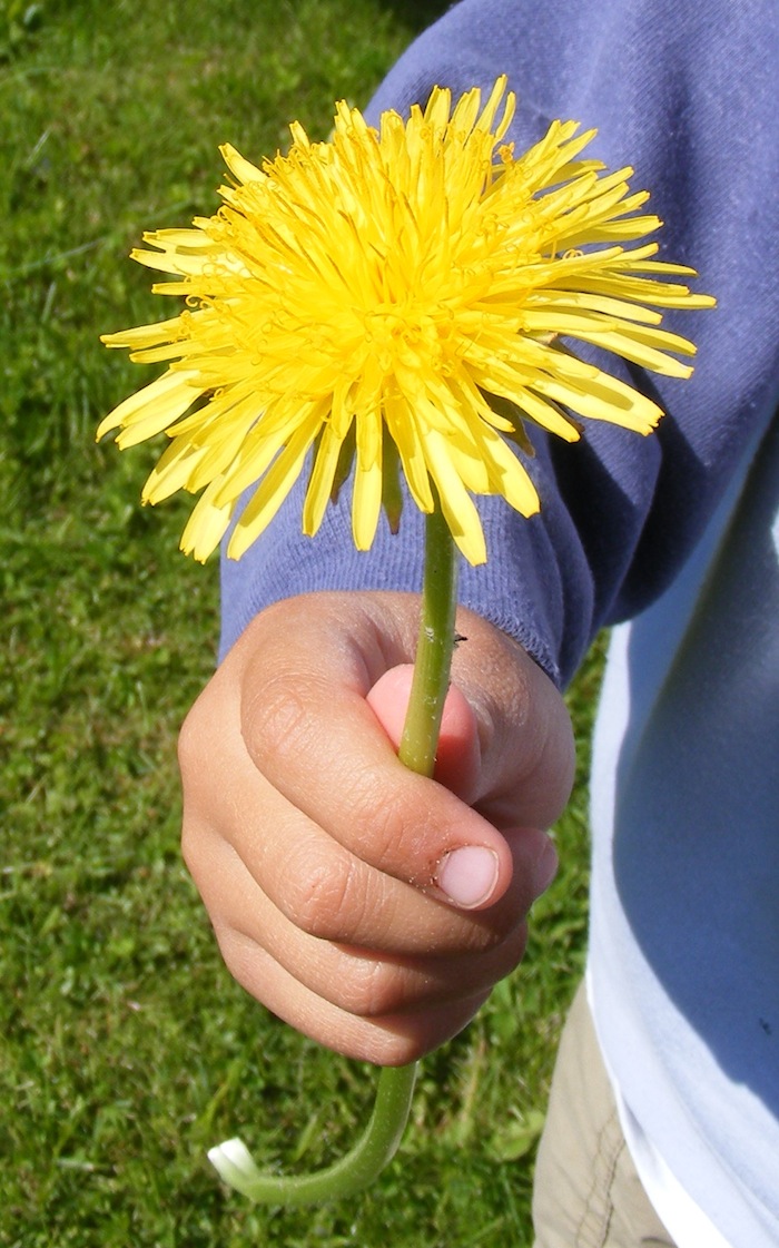 ADHD and Personality Disorders